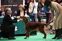 Crufts2011 424